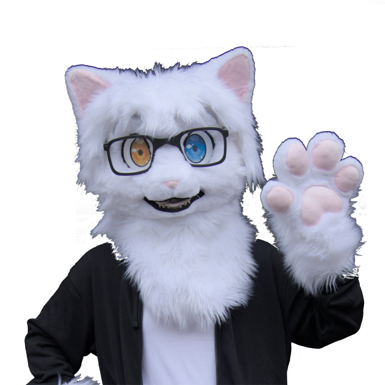 Cute fursuit picture